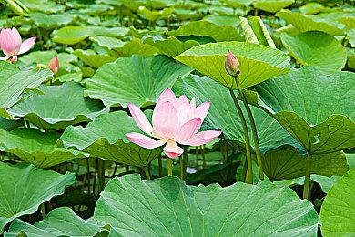 《银河战士：生存恐惧》模拟器4K运行10分钟演示